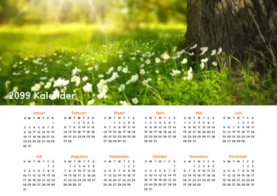 Abstracte Natuur 1 Jaar Verjaardagskalender