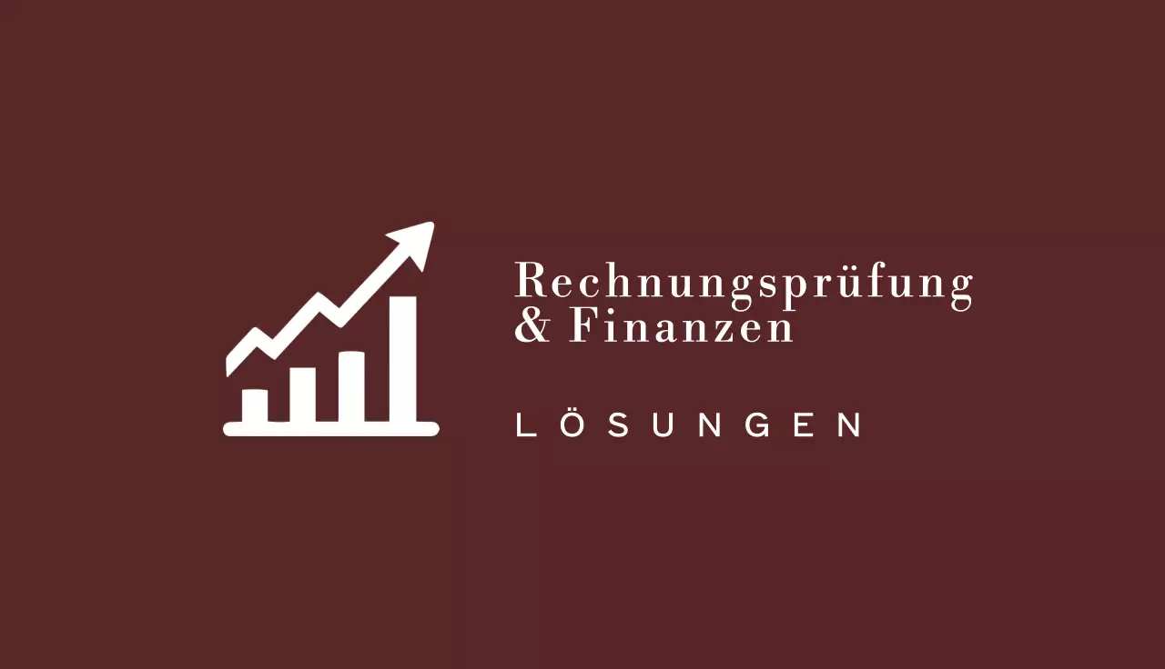 braune professionelle Finanzkarte