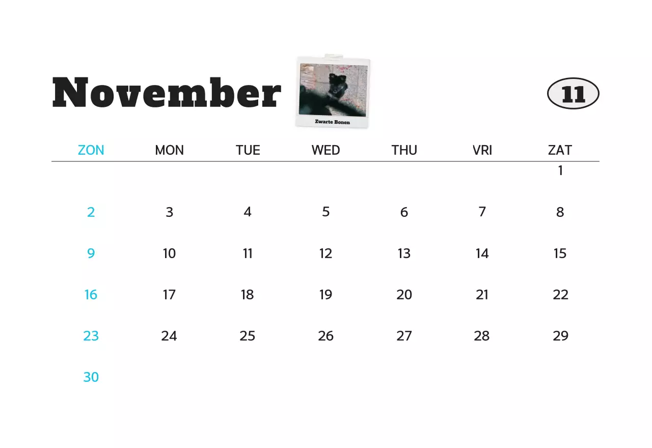 Witte schone fotokalender voor huisdieren