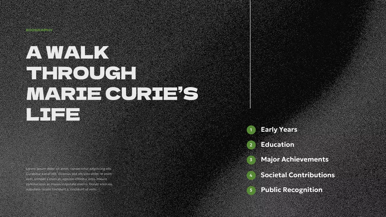 Black Modern Biography Presentation