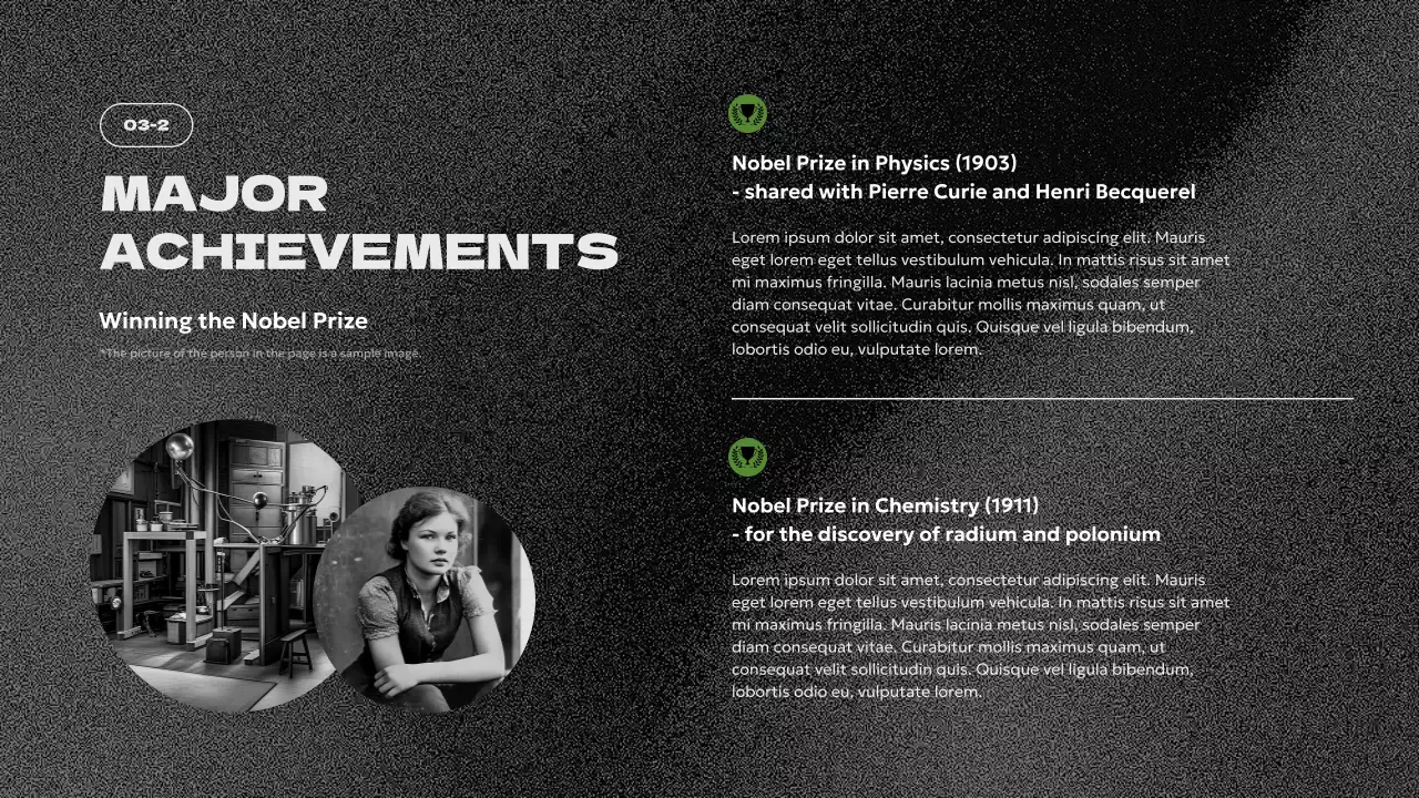 Black Modern Biography Presentation