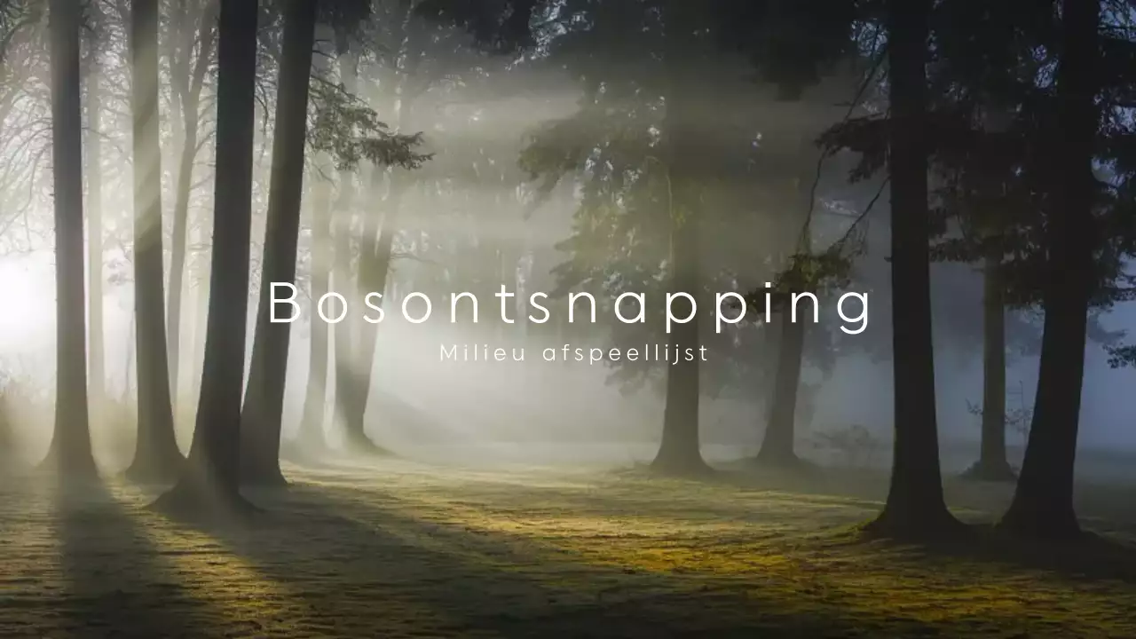 groene natuur muziek afspeellijst