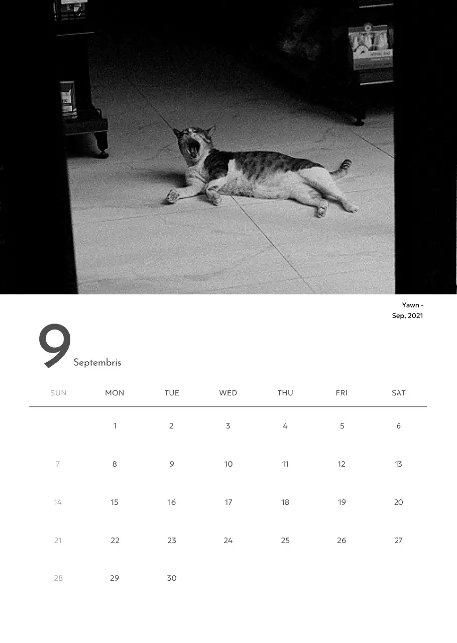 Kalender foto dengan nuansa perkotaan yang bersih