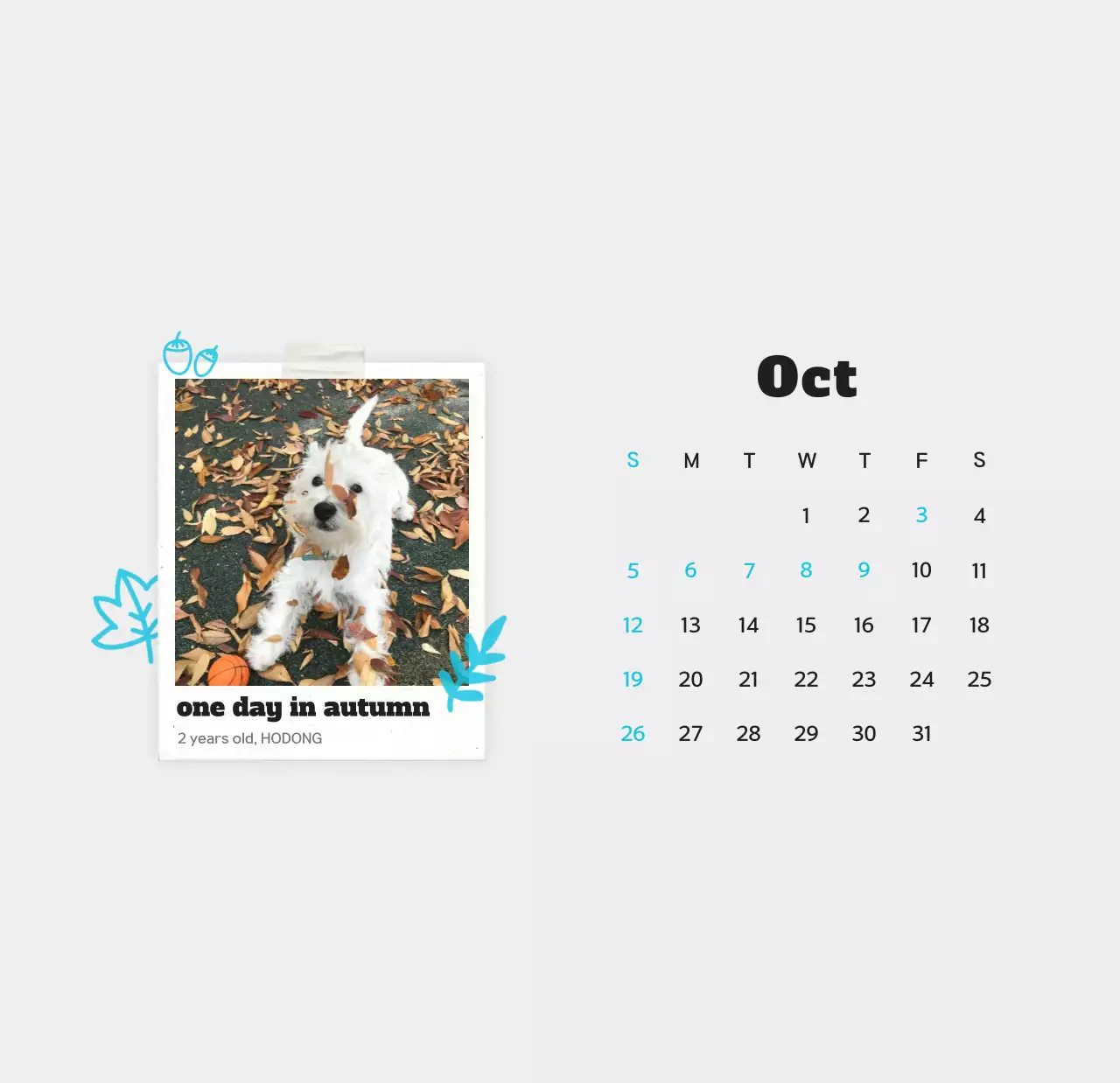 Kalender foto hewan peliharaan putih bersih