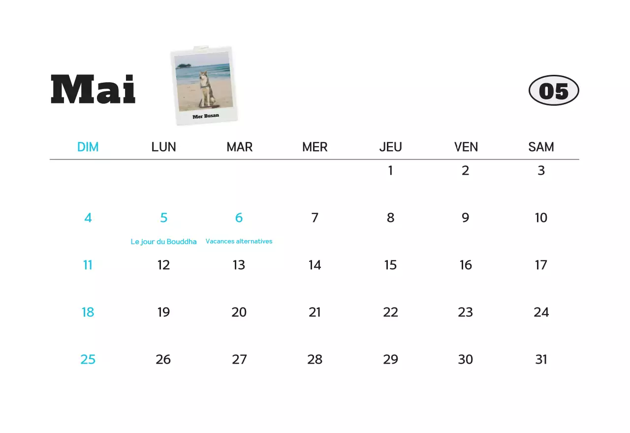 Calendrier photo d'animaux propres et blancs