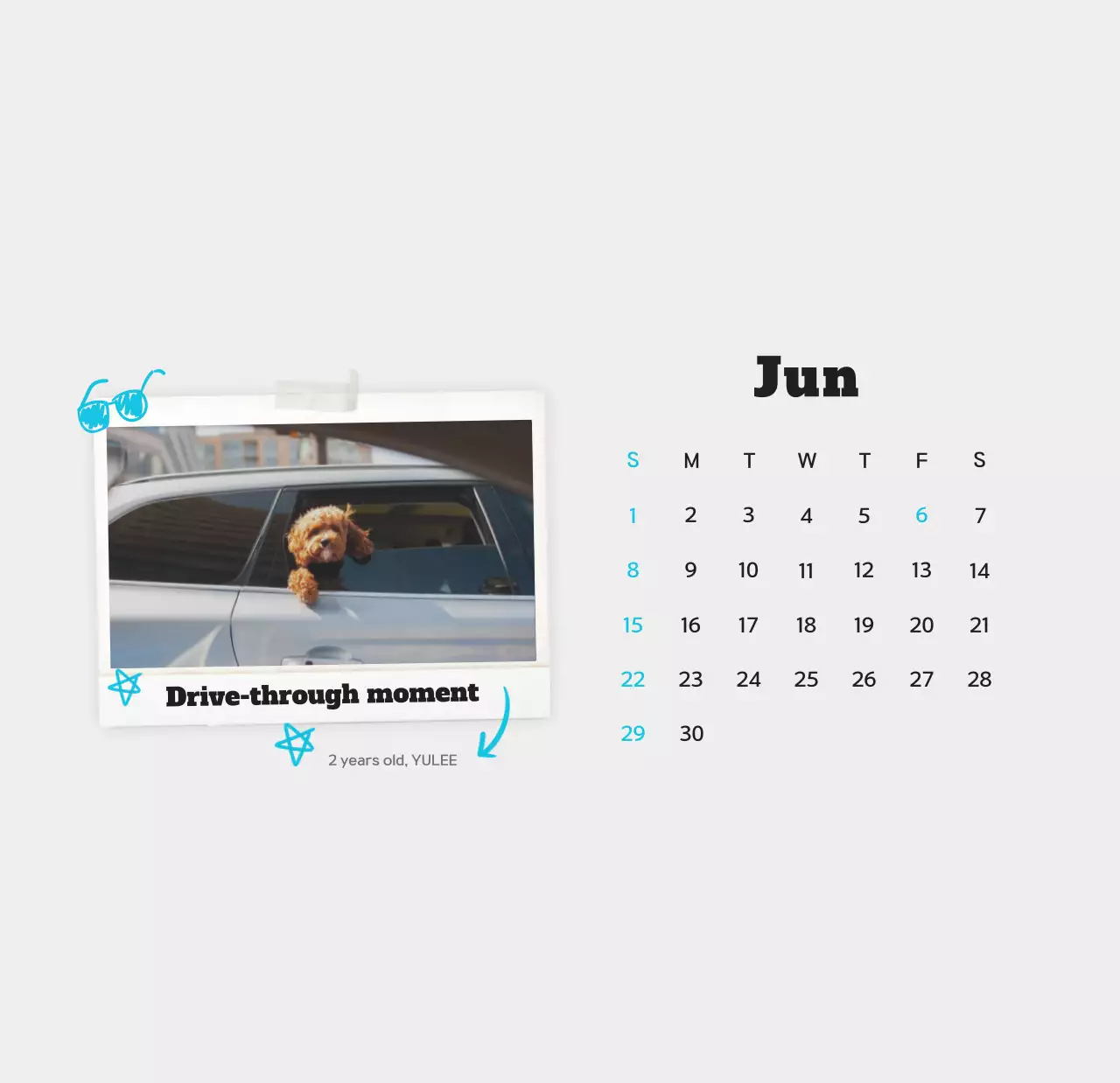Kalender foto hewan peliharaan putih bersih