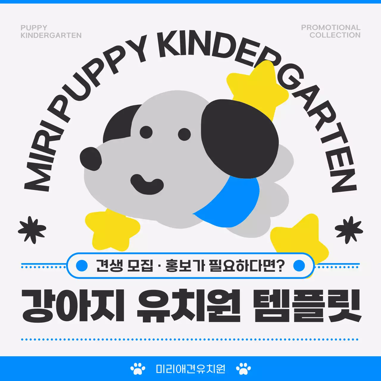 회색 귀여운 반려동물 모집