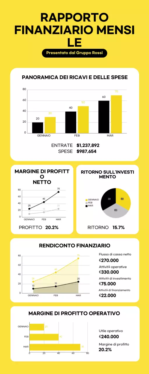 Moderna infografica minimalista sui rapporti finanziari mensili