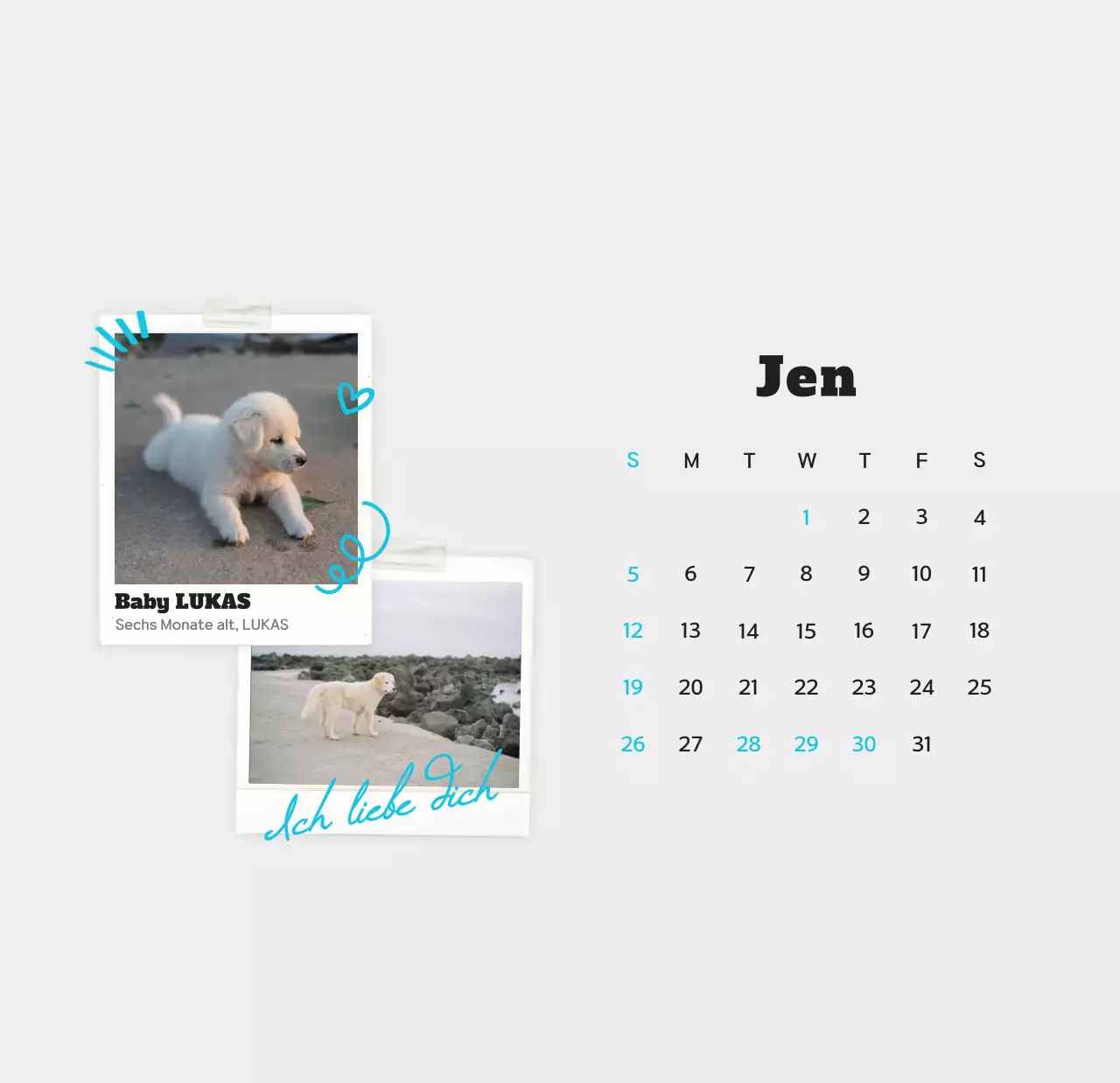 Weißer sauberer Haustier-Fotokalender