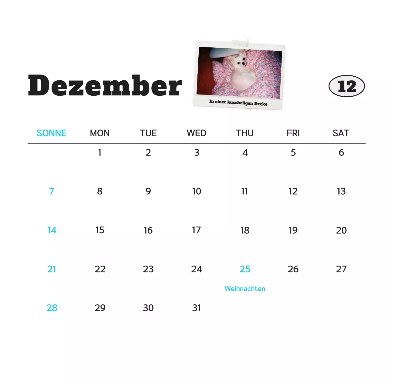 Weißer sauberer Haustier-Fotokalender