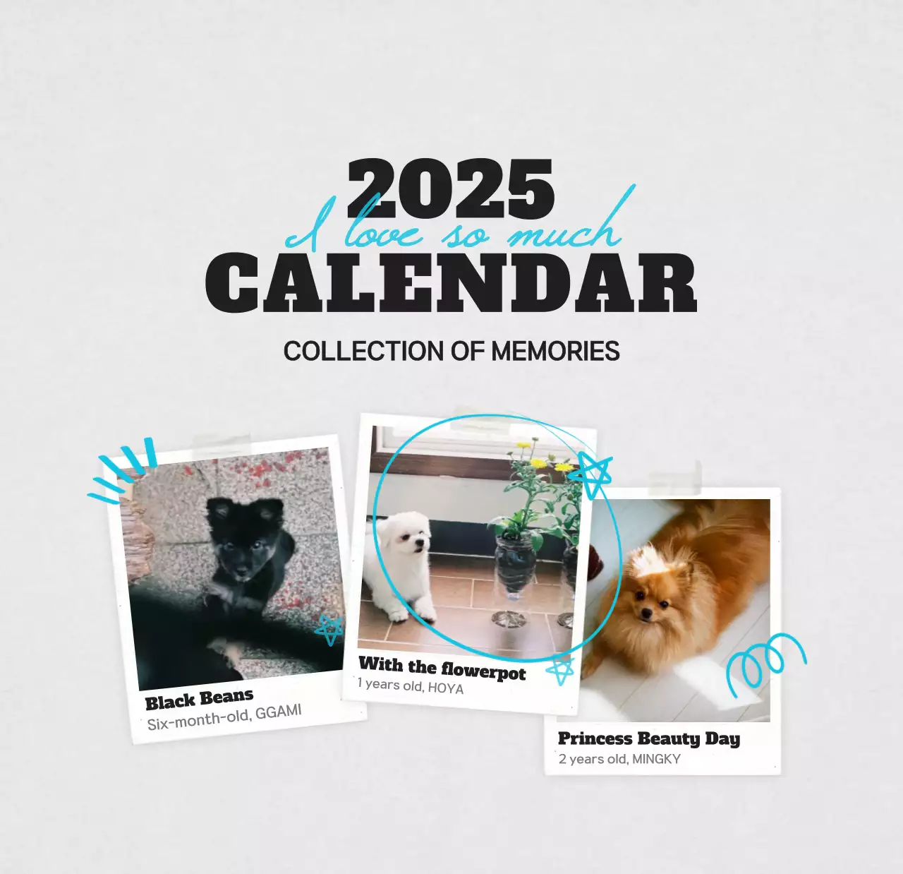 白のすっきりとしたペットフォトカレンダー
