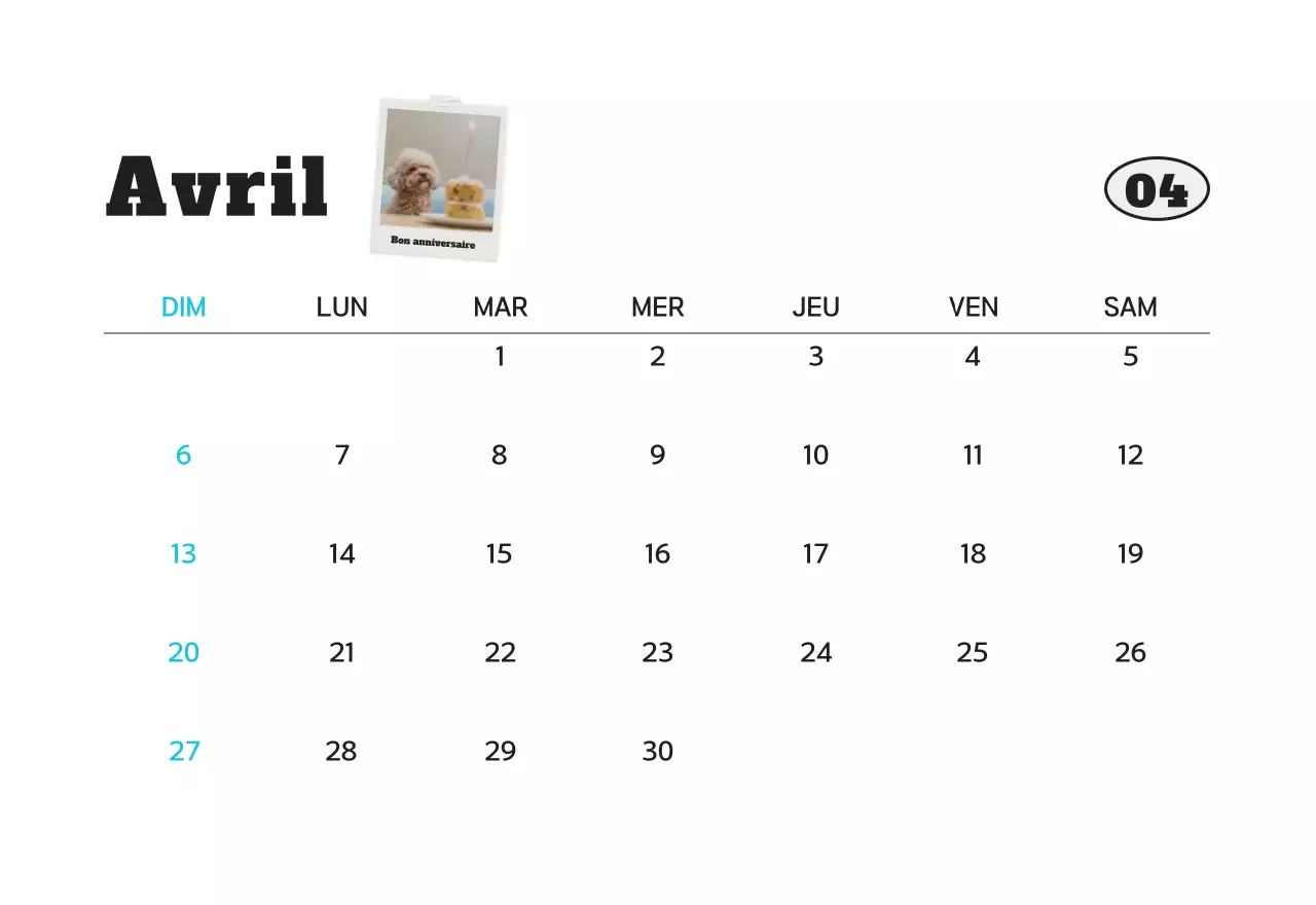 Calendrier photo d'animaux propres et blancs