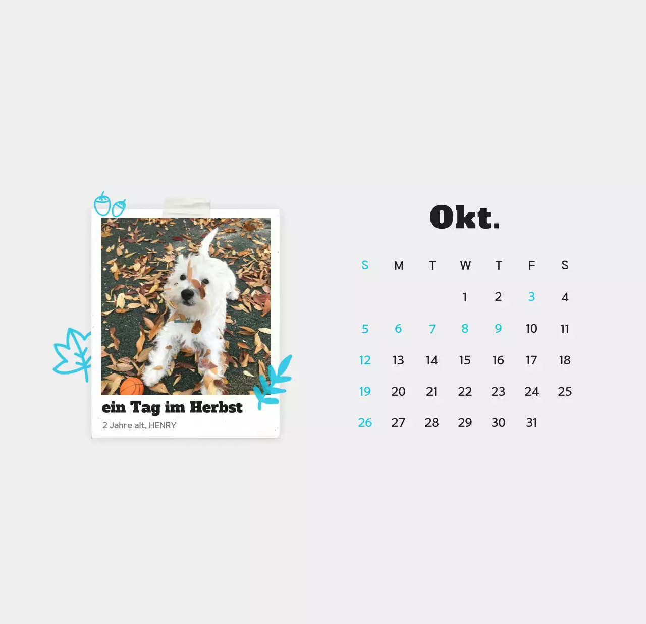 Weißer sauberer Haustier-Fotokalender