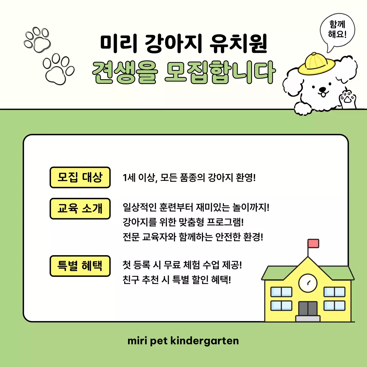 연두색의 아기자기한 반려동물 안내