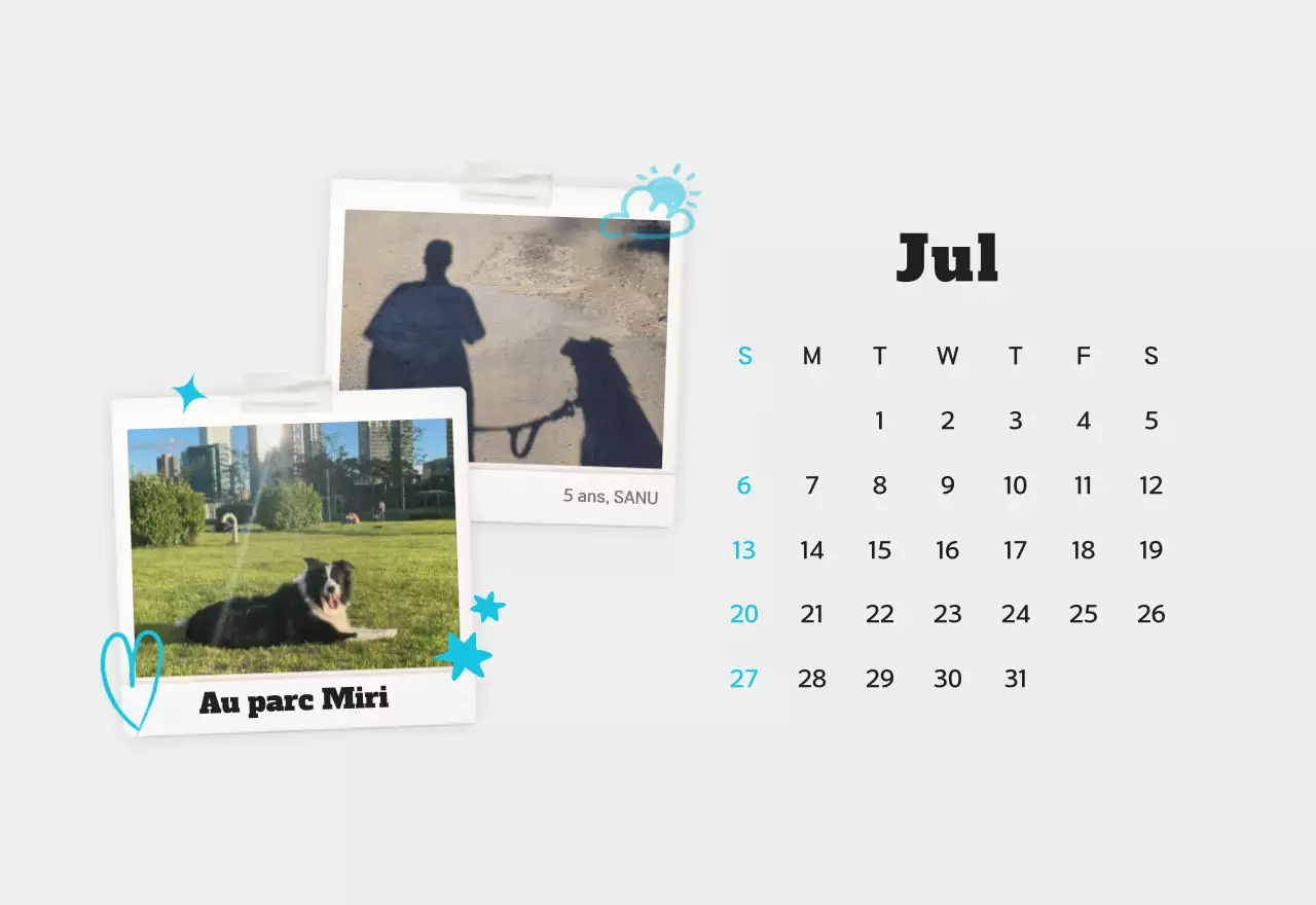 Calendrier photo d'animaux propres et blancs