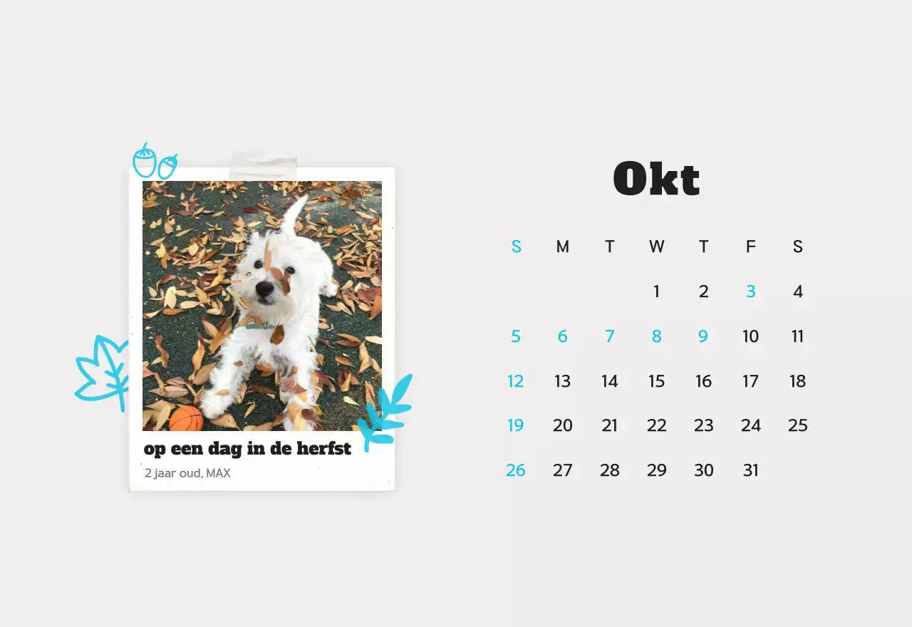 Witte schone fotokalender voor huisdieren