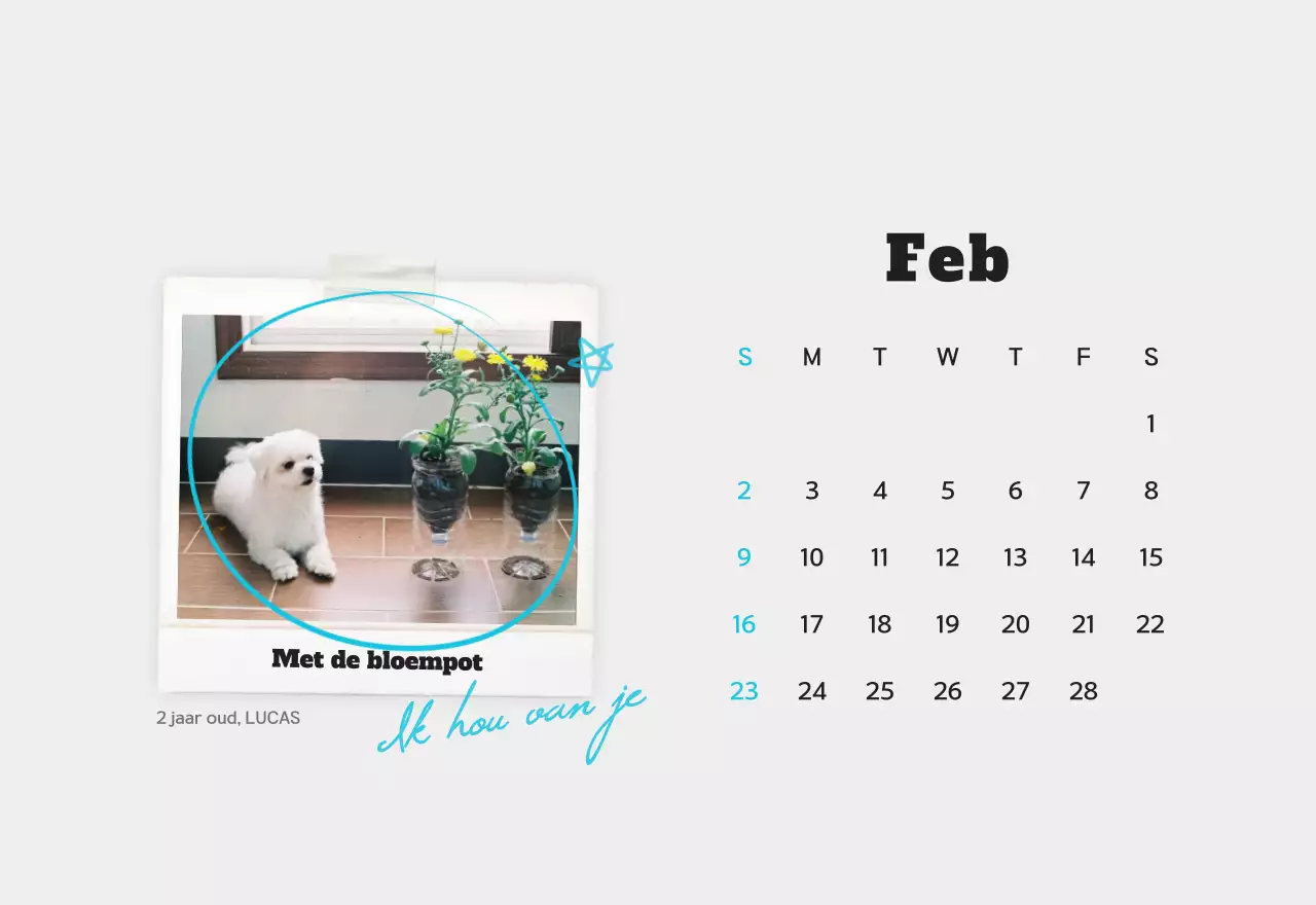 Witte schone fotokalender voor huisdieren