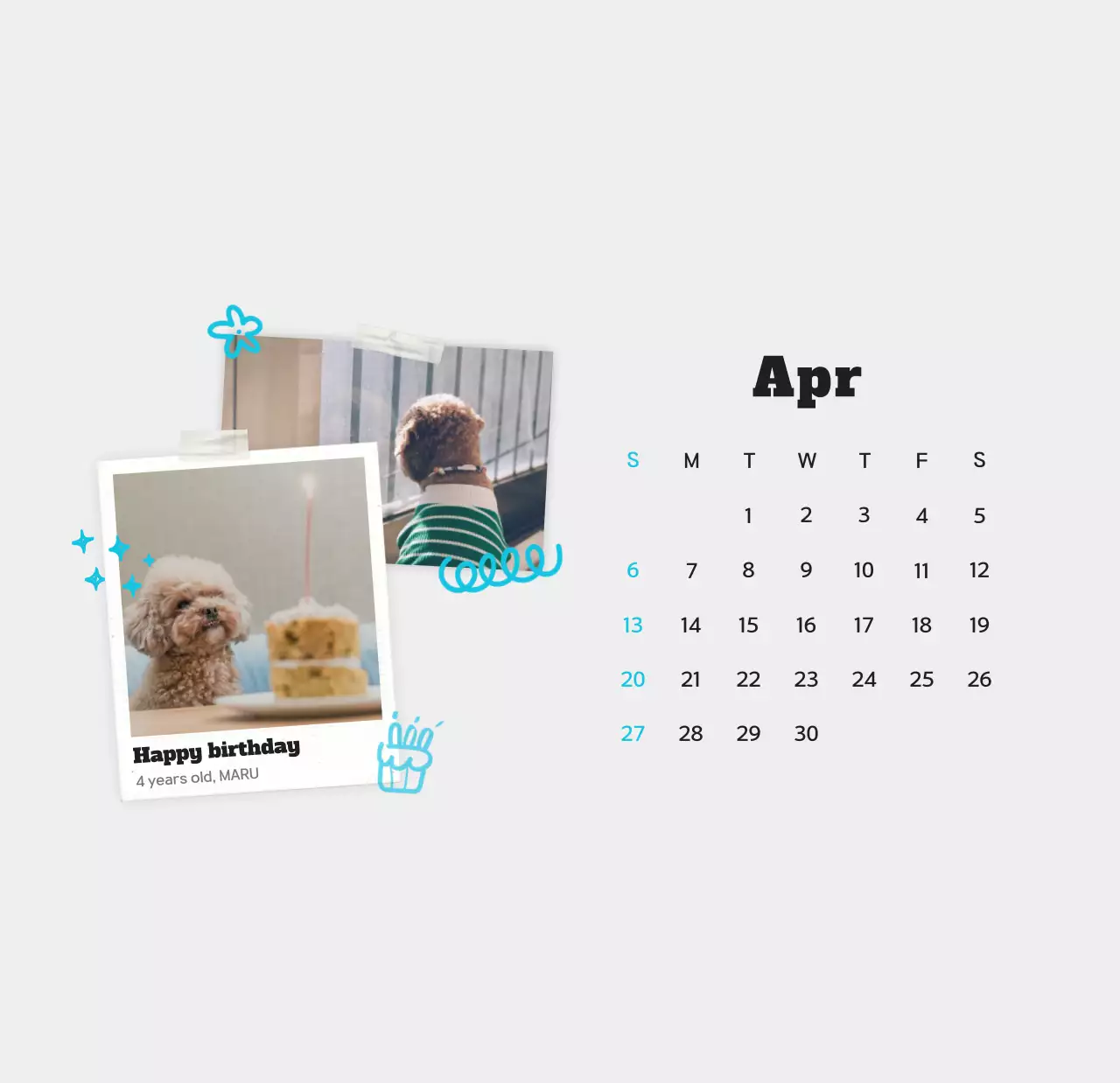 Kalender foto hewan peliharaan putih bersih