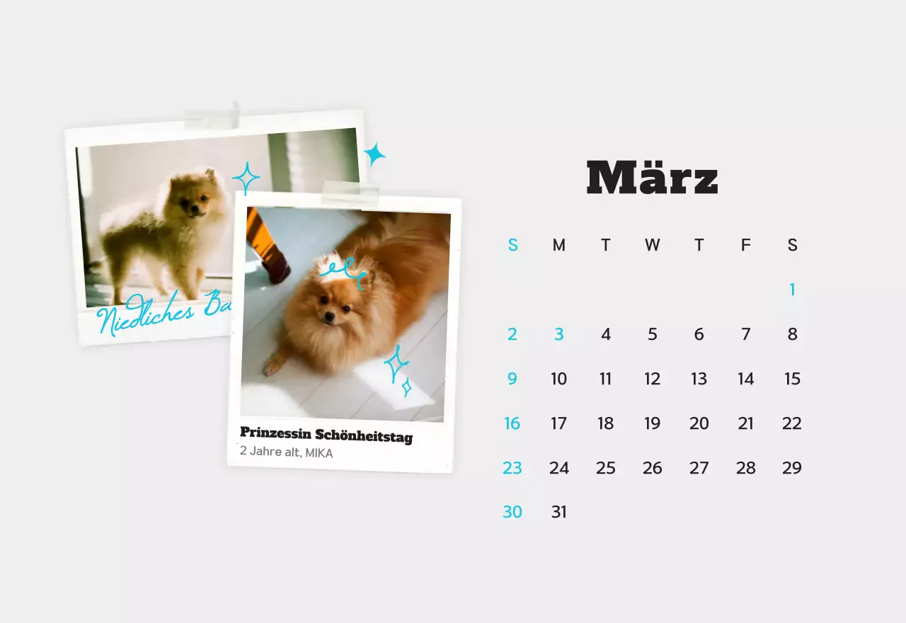 Weißer sauberer Haustier-Fotokalender