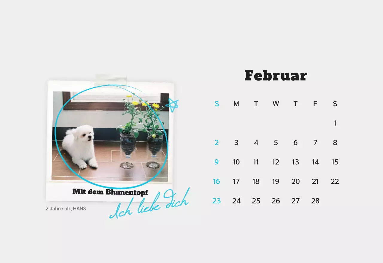 Weißer sauberer Haustier-Fotokalender