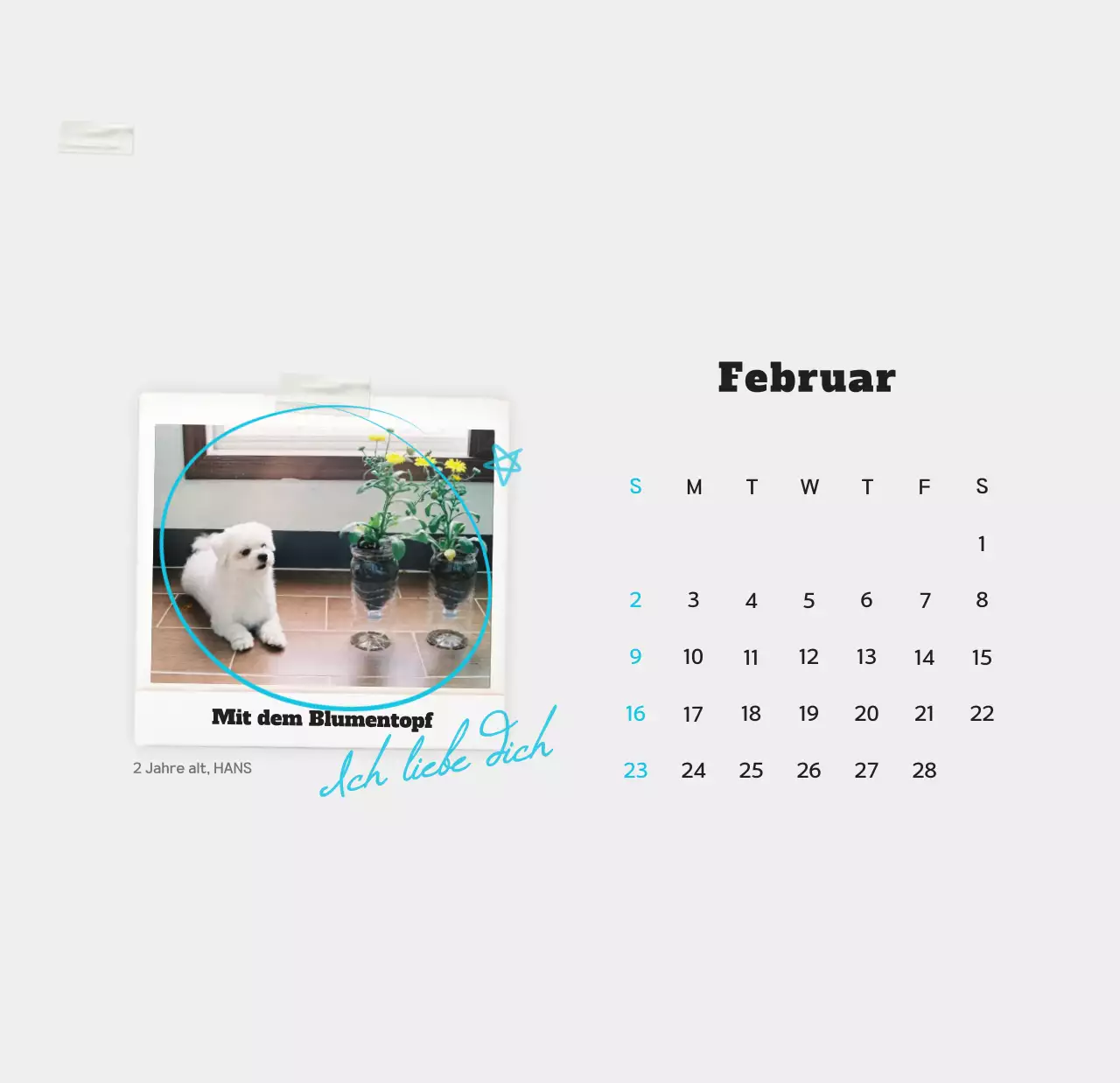 Weißer sauberer Haustier-Fotokalender