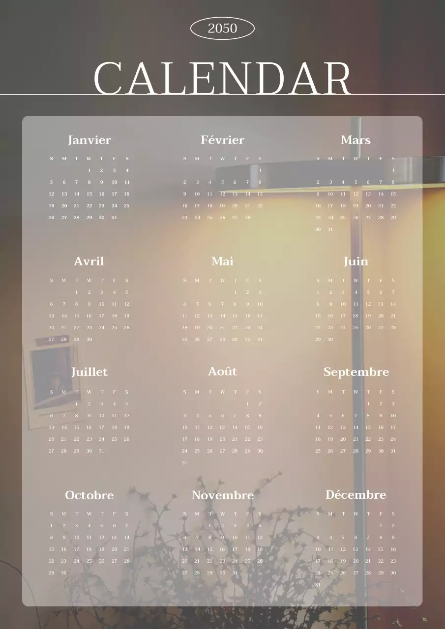 Calendrier moderne à lignes en brun et blanc