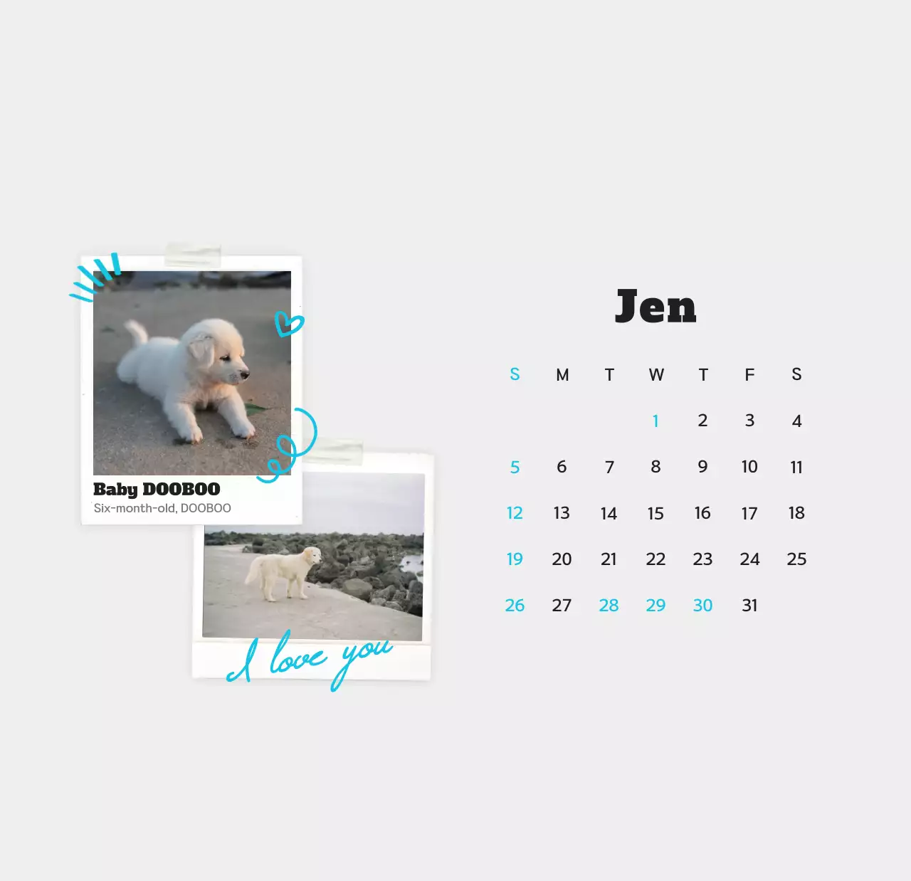 Kalender foto hewan peliharaan putih bersih