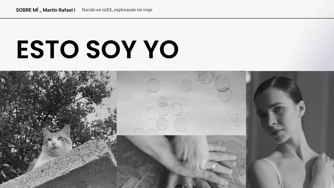 gris blanco moderno portafolio de presentación