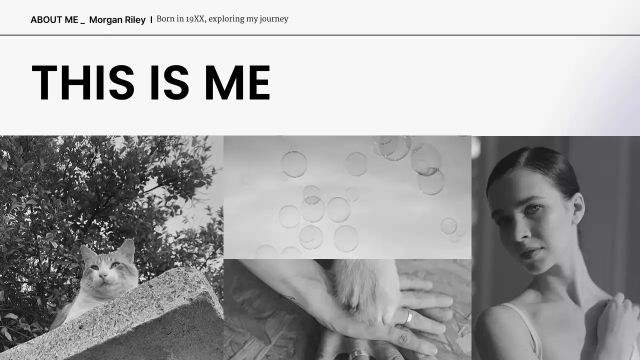 Bài trình bày tiểu sử hiện đại của người da đen