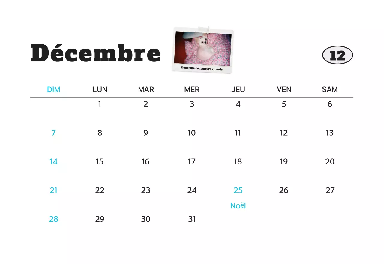 Calendrier photo d'animaux propres et blancs