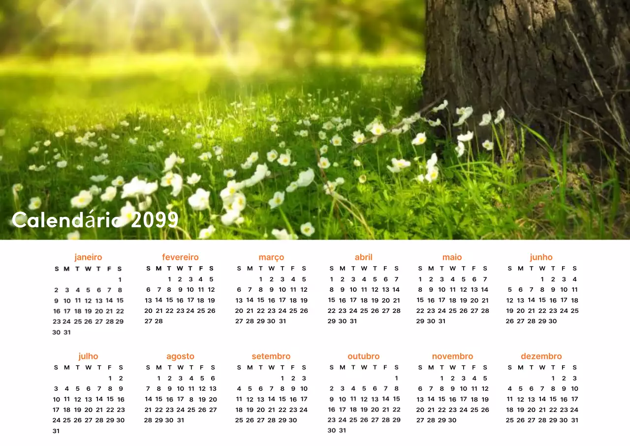 Calendário de aniversário de 1 ano da natureza abstrata