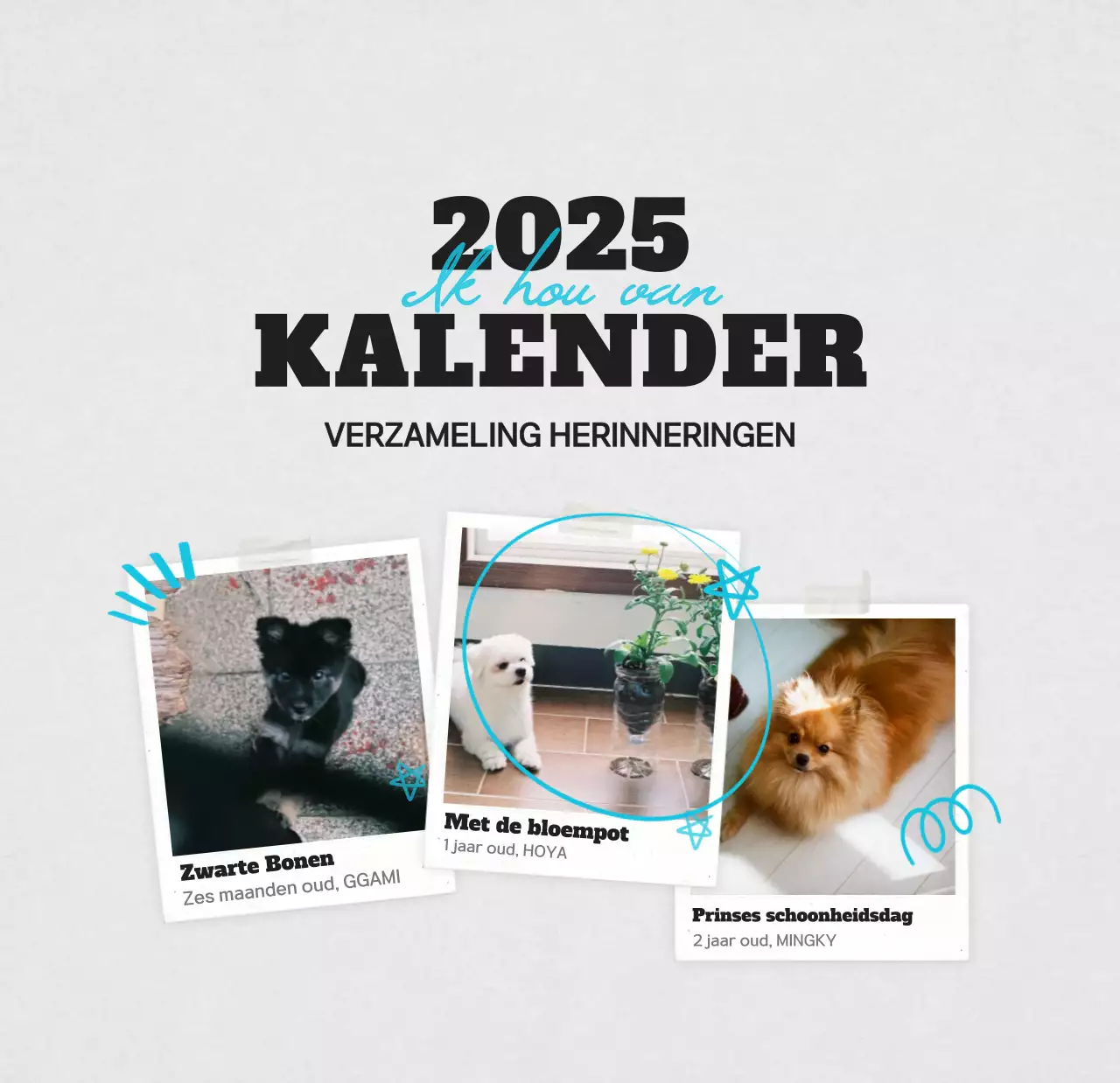 Witte schone fotokalender voor huisdieren
