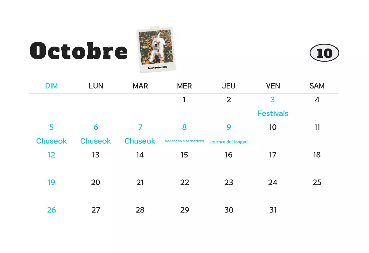 Calendrier photo d'animaux propres et blancs