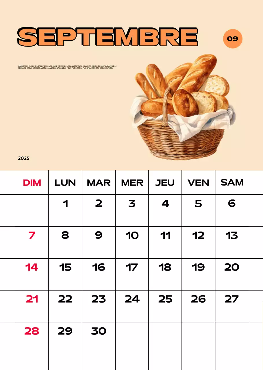 Calendriers colorés avec une variété d'illustrations rétro