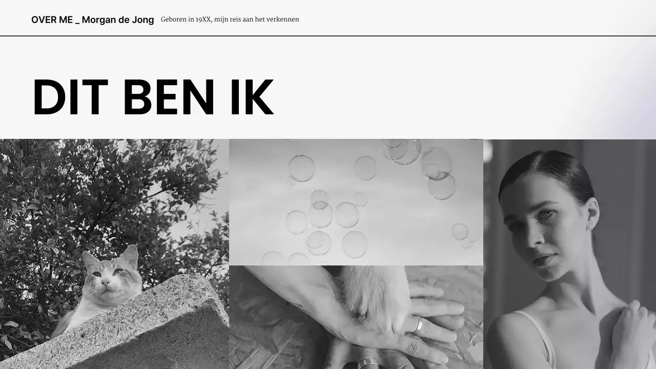 grijs wit modern presentatie portfolio