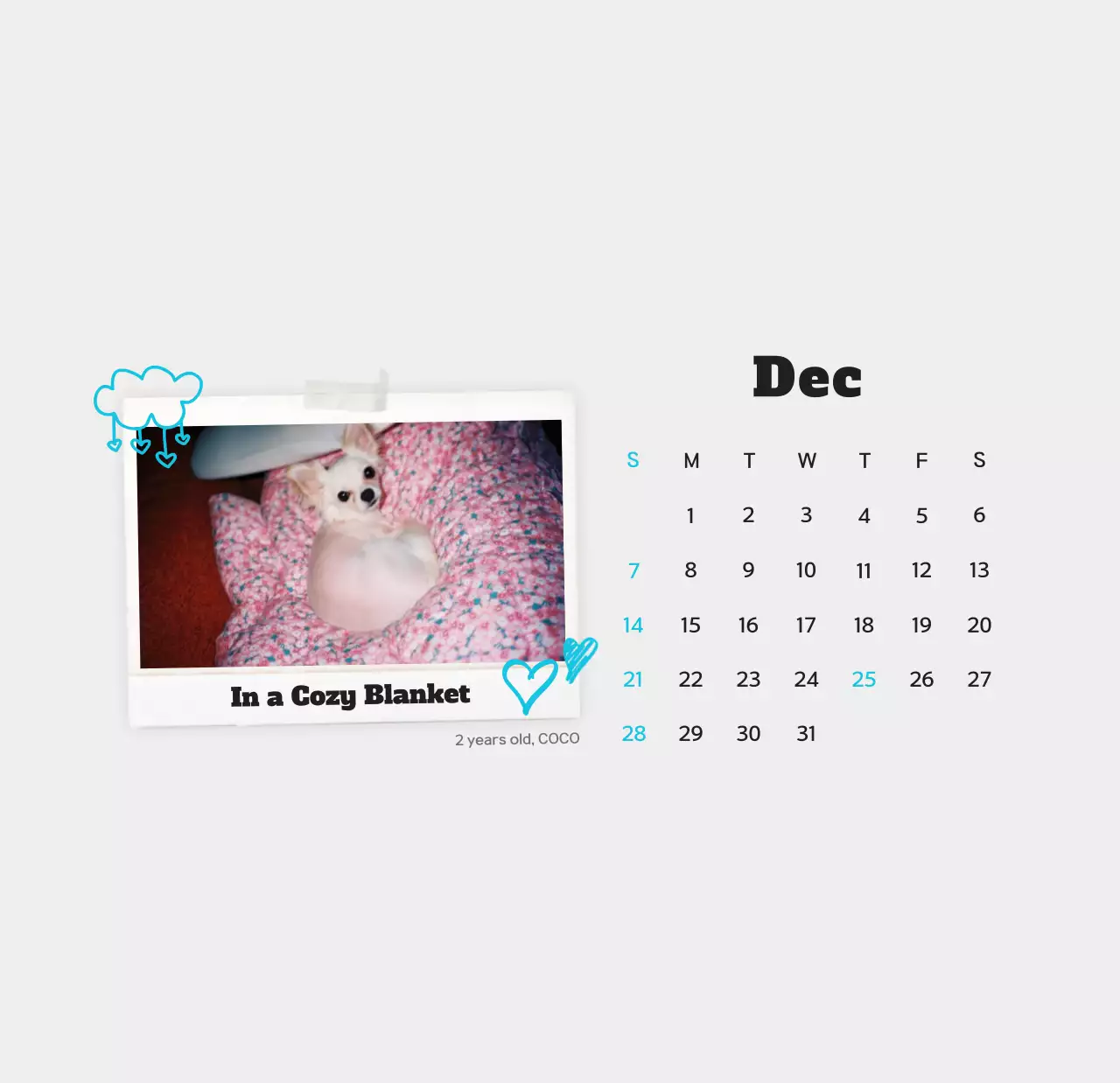 Kalender foto hewan peliharaan putih bersih