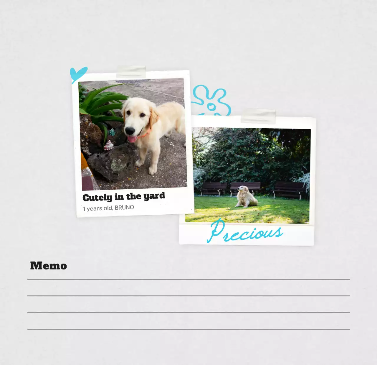 Kalender foto hewan peliharaan putih bersih