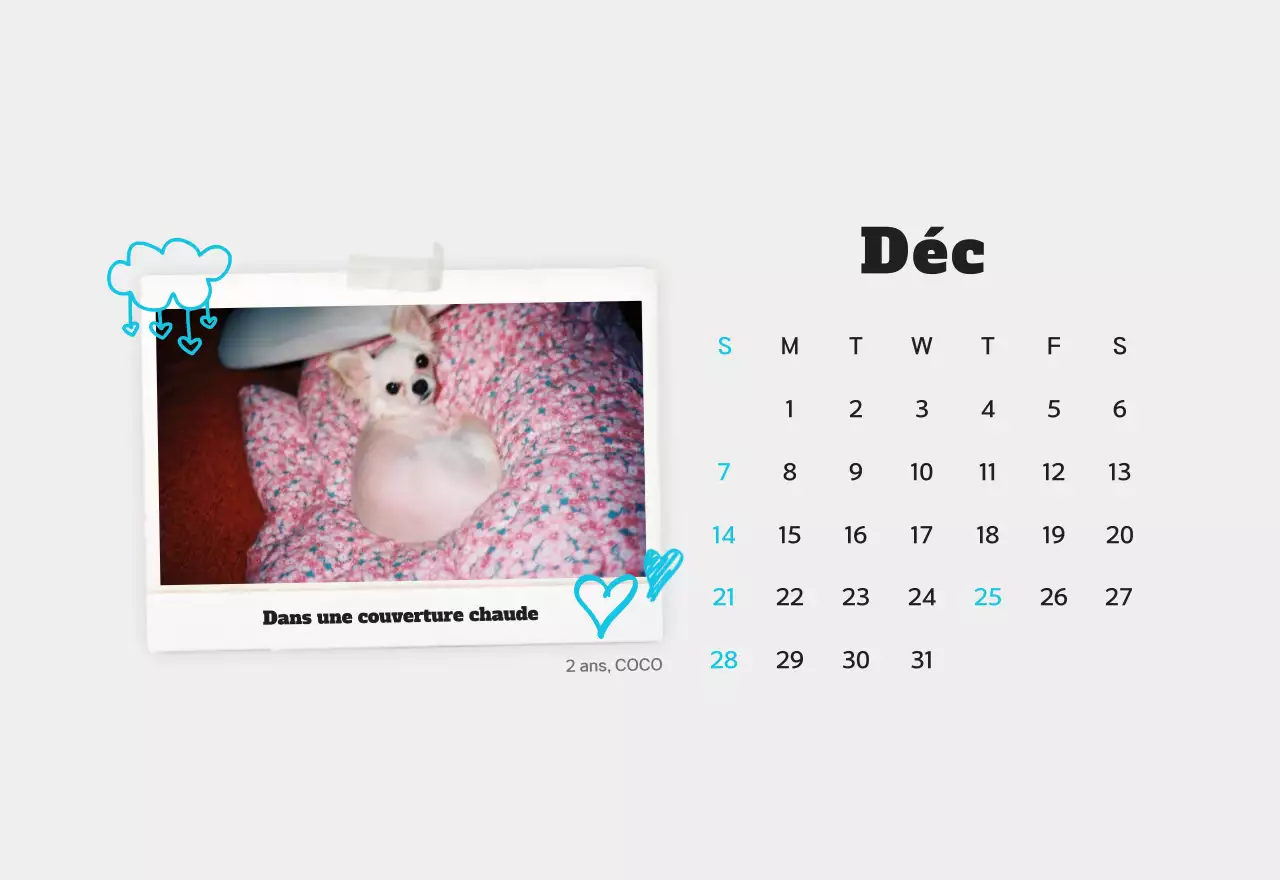 Calendrier photo d'animaux propres et blancs