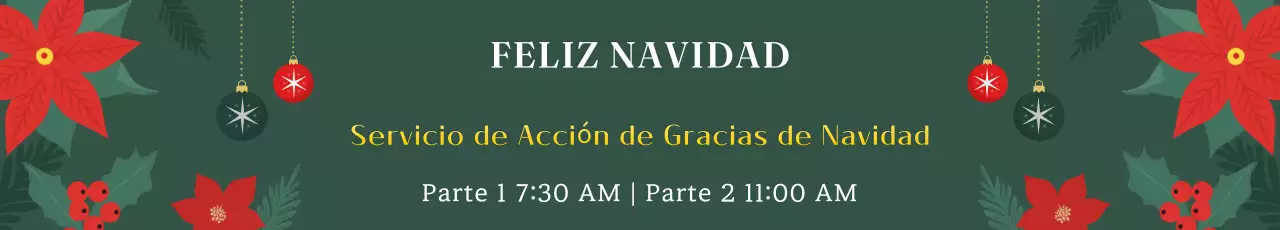 Resumen Guía avanzada del servicio de Navidad