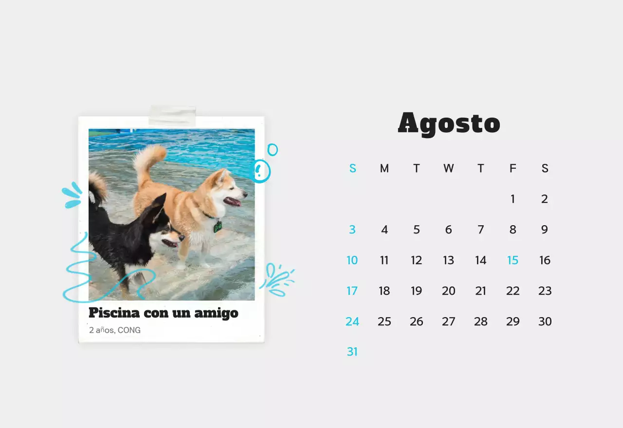 Calendario de fotos de mascotas blanco y limpio