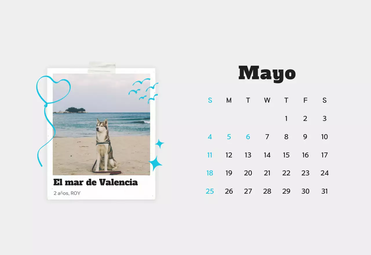 Calendario de fotos de mascotas blanco y limpio