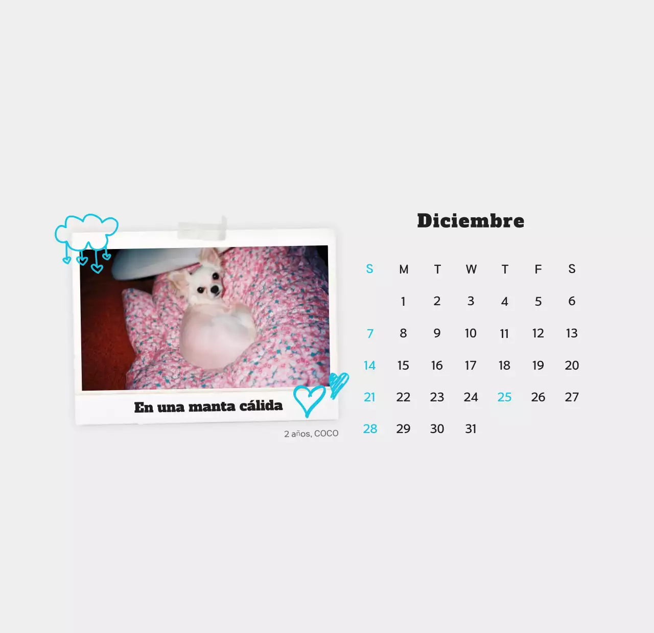 Calendario de fotos de mascotas blanco y limpio