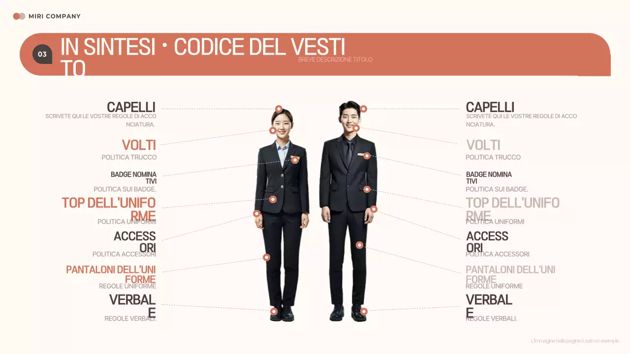 Manuale della guida ordinata beige