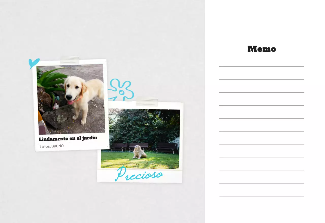 Calendario de fotos de mascotas blanco y limpio