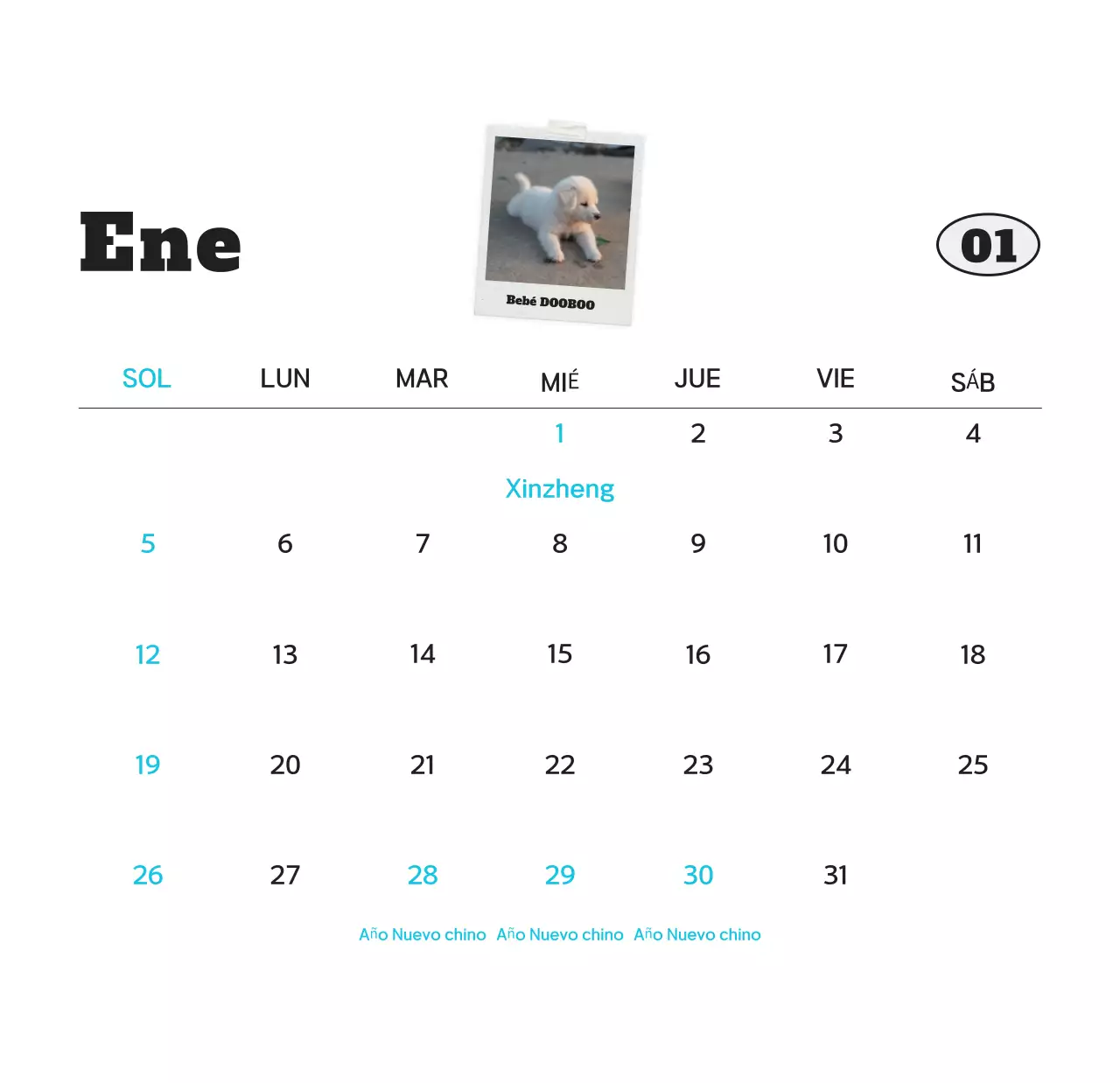 Calendario de fotos de mascotas blanco y limpio