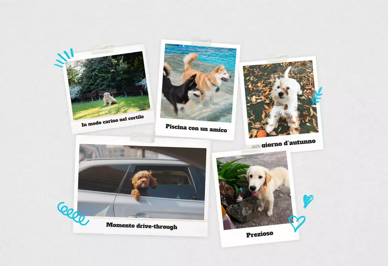 Calendario fotografico bianco per animali domestici puliti