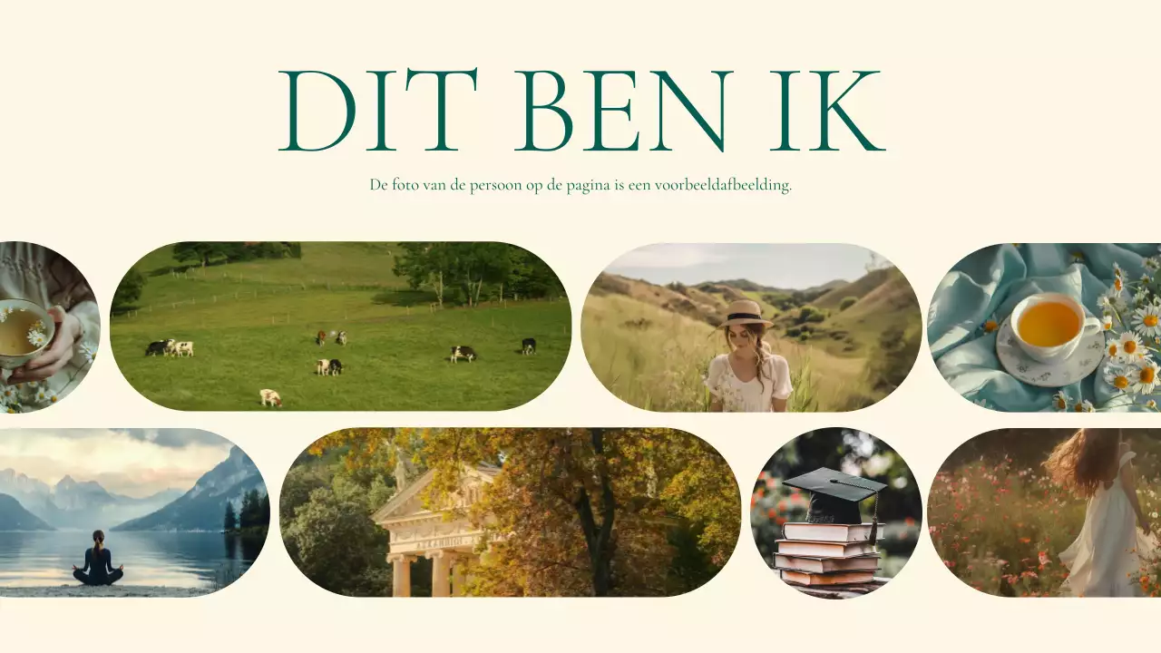 beige elegant lifestyle portfolio