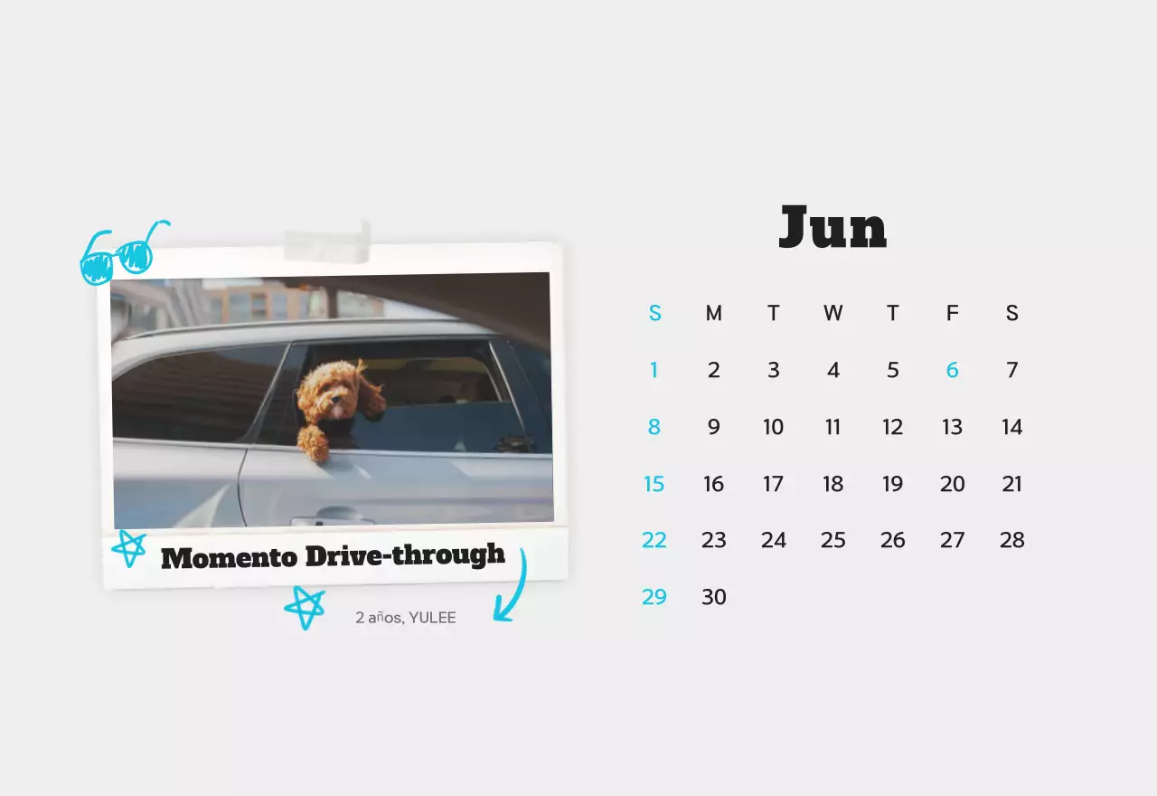 Calendario de fotos de mascotas blanco y limpio