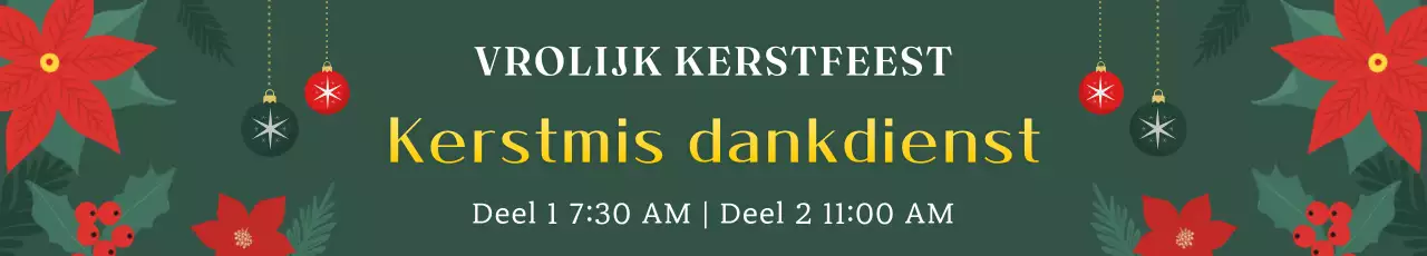 Samenvatting Geavanceerde kerstdienstgids