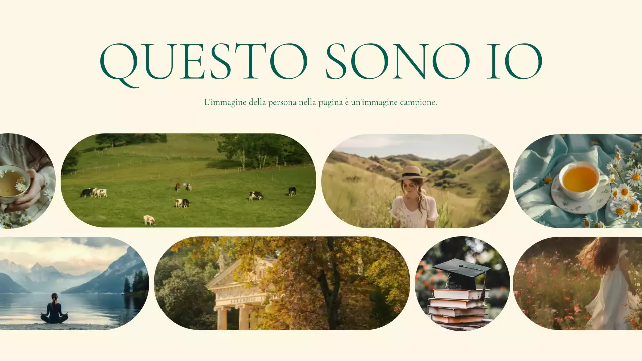 portafoglio di stile di vita elegante beige